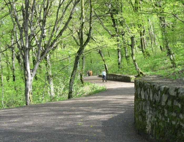 Терренкуры - Оздоровительные услуги - Санаторий «им. С.М. Кирова» Железноводск